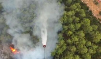 Muğla Seydikemer yanıyor! Havadan ve karadan müdahale ediliyor