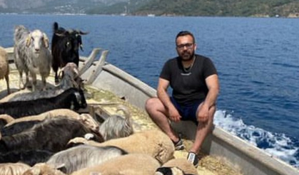 Fethiyeli işletmeci hayvanlarını tekne turuna çıkarıyor!