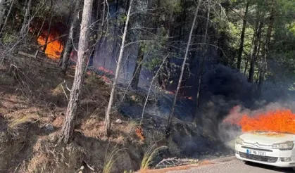 Dalaman'da arabada çıkan yangın ormana sıçradı!