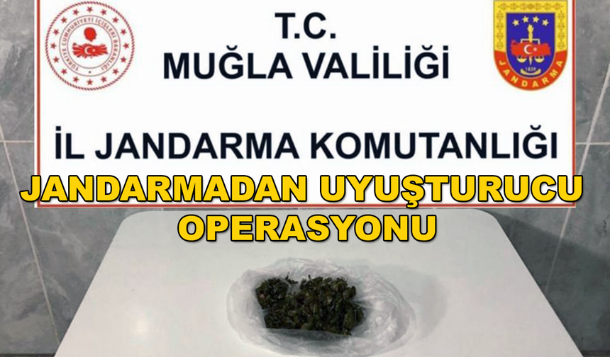 NARKOTİK KÖPEĞİ "KAPTAN" UYUŞTURUCU TACİRİNİ YAKALADI