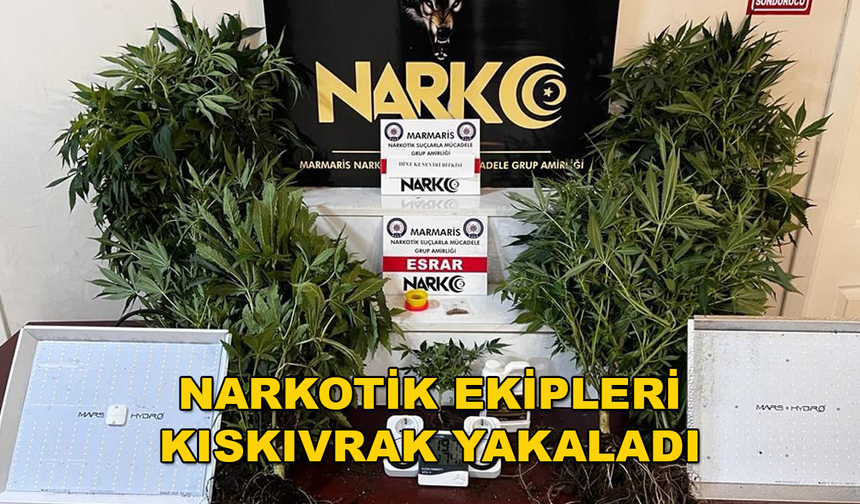 MARMARİS'TE UYUŞTURUCU YETİŞTİREN ŞAHIS GÖZALTINA ALINDI