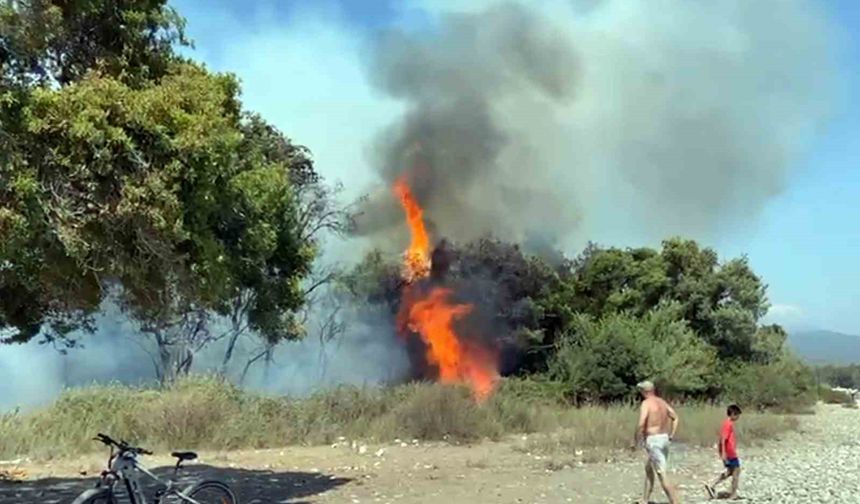 Fethiye’de yangını söndüren ekiplere tatilcilerden alkışlı destek!
