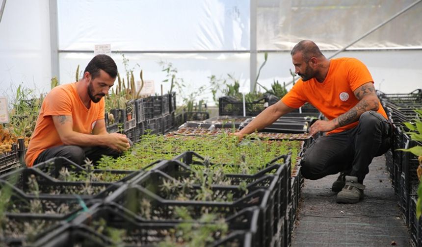 Dalaman’da hükümlüler topluma kazandırılıyor