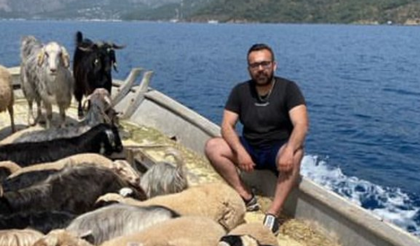 Fethiyeli işletmeci hayvanlarını tekne turuna çıkarıyor!