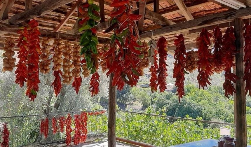 Muğla’da kış hazırlıkları rengarenk görüntülere sahne oldu!