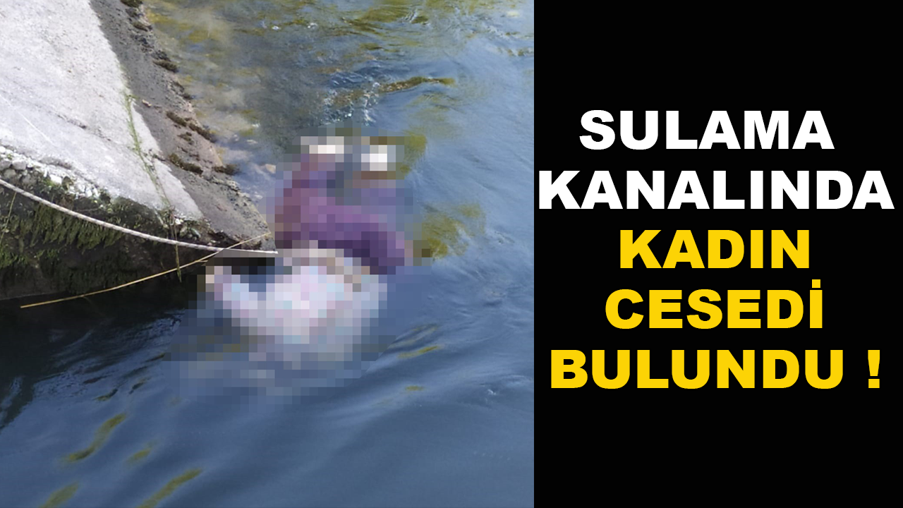 Fethiye'de Sulama Kanalında 78 Yaşındaki Bir Kadının Cesedi Bulundu ...